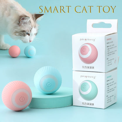 Nifty Smart Cat Ball