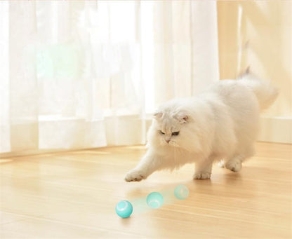 Nifty Smart Cat Ball